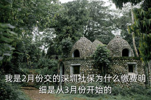 我是2月份交的深圳社保為什么繳費明細是從3月份開始的
