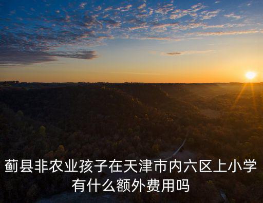 薊縣非農業孩子在天津市內六區上小學有什么額外費用嗎