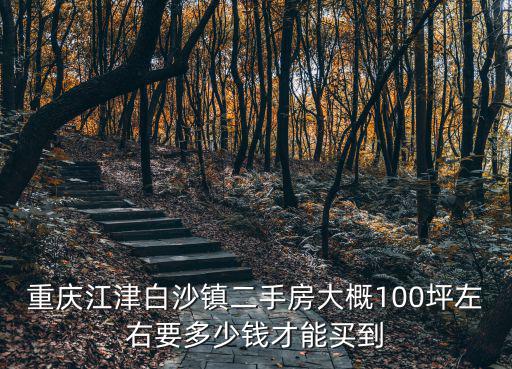 重慶江津白沙鎮二手房大概100坪左右要多少錢才能買到