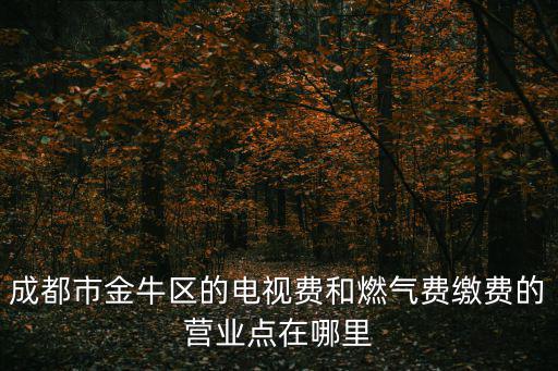成都市金牛區的電視費和燃氣費繳費的營業點在哪里