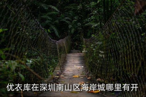 深圳美人坊，優衣庫在深圳南山區海岸城哪里有開