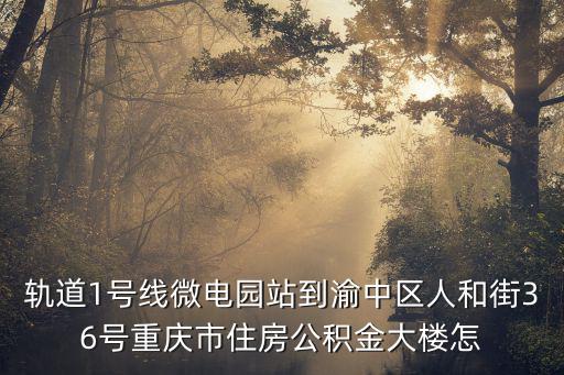 軌道1號線微電園站到渝中區人和街36號重慶市住房公積金大樓怎