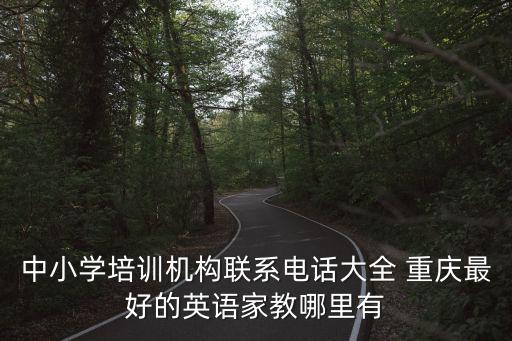 重慶市中小學生培訓中心，重慶有哪些家教中心重慶一對一個性化教育機構