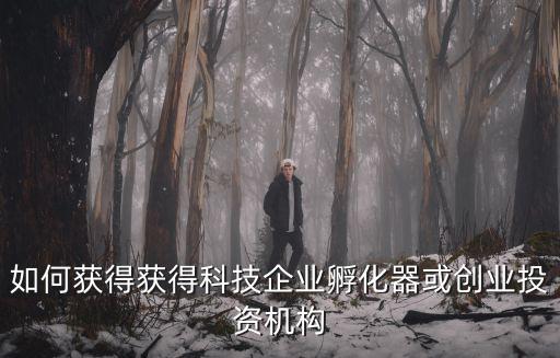 如何獲得獲得科技企業孵化器或創業投資機構