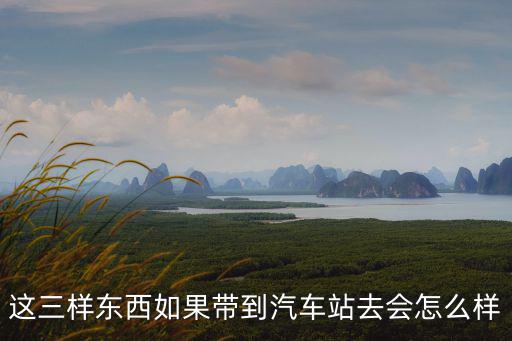 這三樣?xùn)|西如果帶到汽車站去會怎么樣