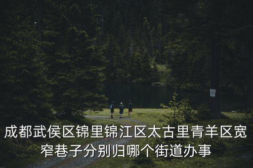 成都武侯區錦里錦江區太古里青羊區寬窄巷子分別歸哪個街道辦事