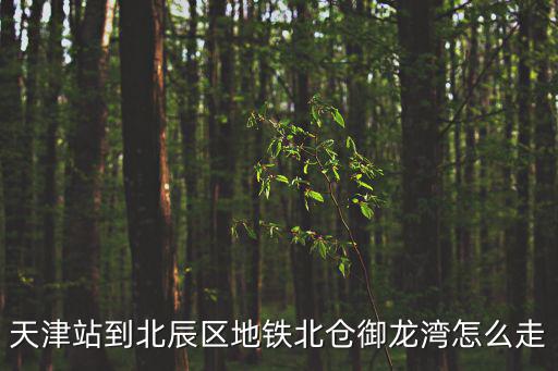 天津站到北辰區地鐵北倉御龍灣怎么走