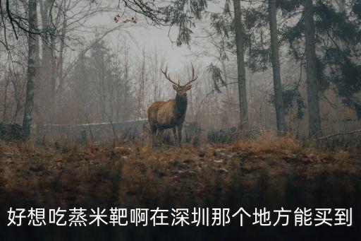 好想吃蒸米靶啊在深圳那個(gè)地方能買(mǎi)到