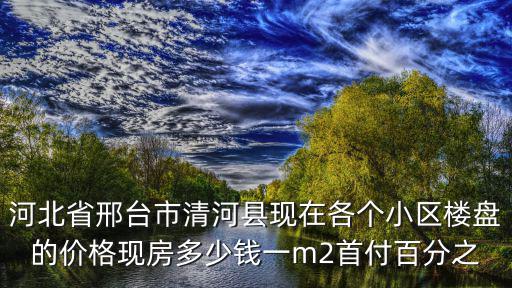 河北省邢臺市清河縣現(xiàn)在各個小區(qū)樓盤的價格現(xiàn)房多少錢一m2首付百分之