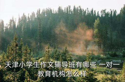 天津小學生作文輔導班有哪些 一對一教育機構怎么樣