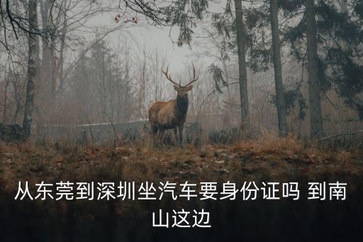 從東莞到深圳坐汽車要身份證嗎 到南山這邊