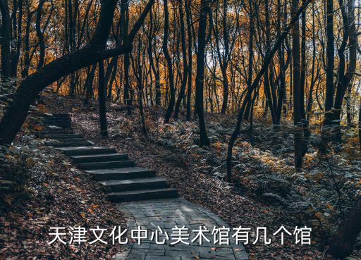 天津市書法協會張連波作品，這是誰寫的  什么朝代的
