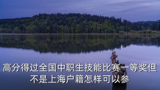 上海市職工技能比賽，上海 全國職業(yè)學(xué)院技能大賽二等獎(jiǎng) 高職組 能升本科嗎