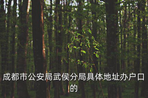 成都市公安局武侯分局具體地址辦戶口的
