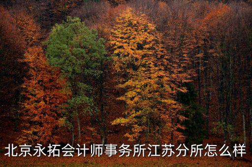 北京永拓會(huì)計(jì)師事務(wù)所江蘇分所怎么樣