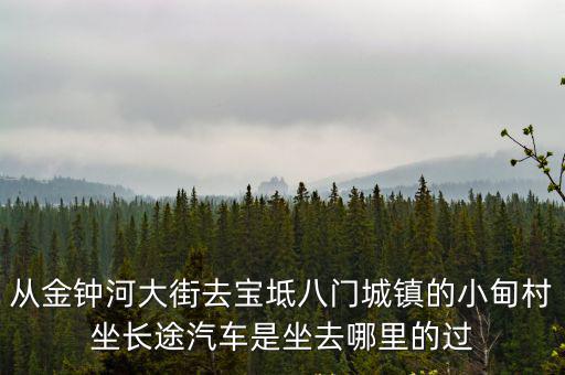 從金鐘河大街去寶坻八門城鎮的小甸村坐長途汽車是坐去哪里的過