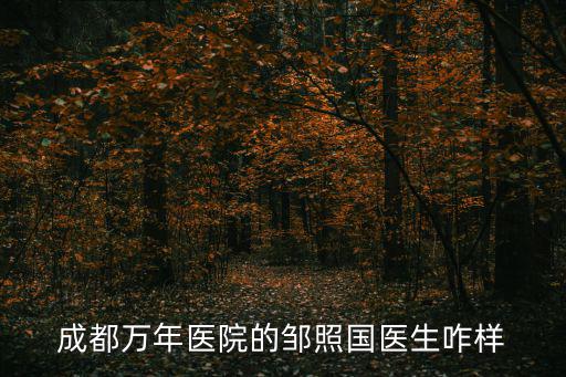 成都萬年醫院的鄒照國醫生咋樣