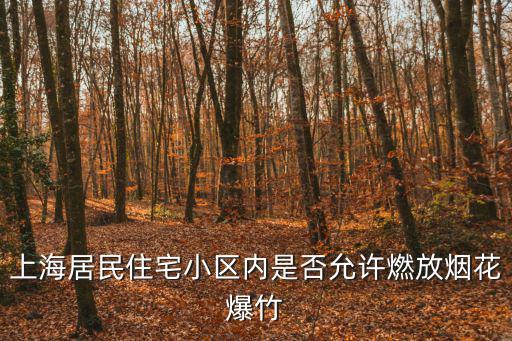 上海居民住宅小區內是否允許燃放煙花爆竹