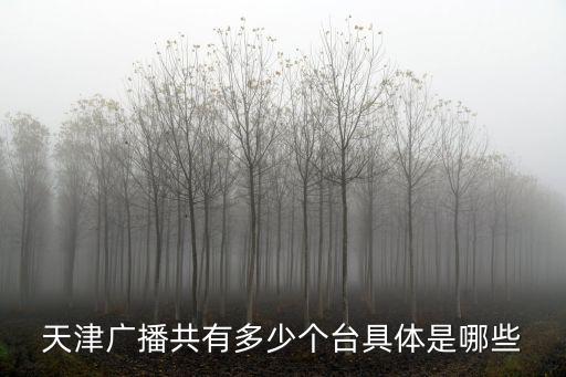 東南衛視天津市幾臺，天津濱海頻道是原來天津的哪個臺