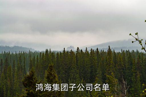 鴻海集團(tuán)子公司名單
