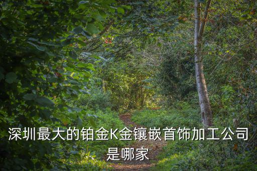 深圳最大的鉑金K金鑲嵌首飾加工公司是哪家