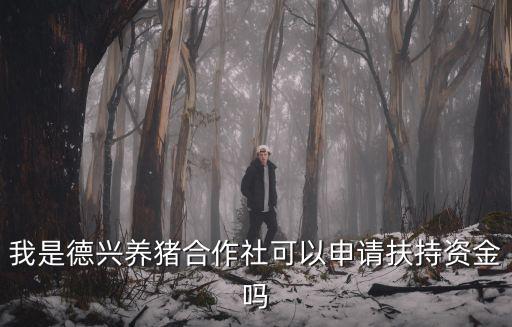 我是德興養豬合作社可以申請扶持資金嗎