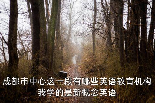 成都市中心這一段有哪些英語教育機構我學的是新概念英語
