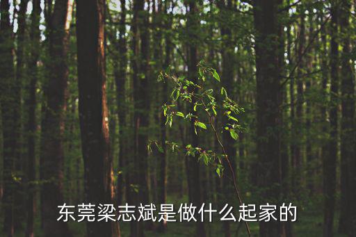 東莞梁志斌是做什么起家的