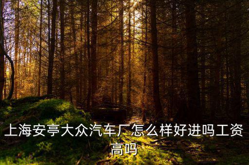 上海市安亭路大眾汽車生產(chǎn)，上海安亭大眾汽車廠怎么樣好進嗎工資高嗎