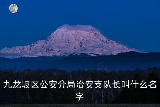 九龍坡區(qū)公安分局治安支隊(duì)長(zhǎng)叫什么名字