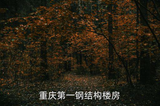 重慶第一鋼結構樓房