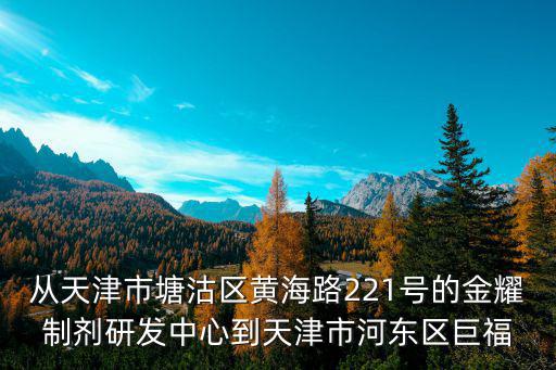 從天津市塘沽區黃海路221號的金耀制劑研發中心到天津市河東區巨福