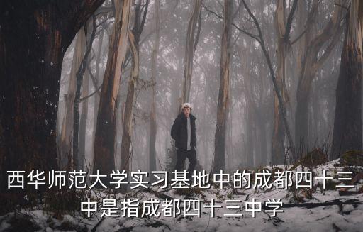 西華師范大學實習基地中的成都四十三中是指成都四十三中學