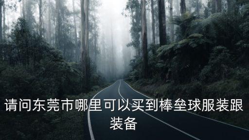 請問東莞市哪里可以買到棒壘球服裝跟裝備