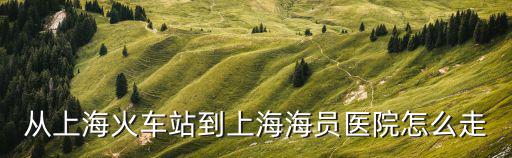 上海市周家嘴路505號，從上?；疖囌镜缴虾：T醫院怎么走