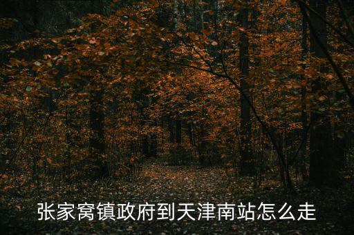 張家窩鎮(zhèn)政府到天津南站怎么走