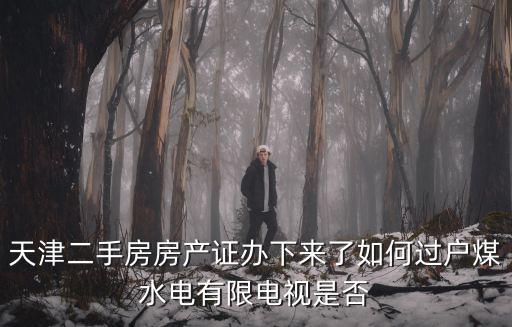 天津二手房房產證辦下來了如何過戶煤水電有限電視是否