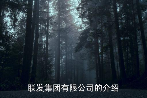 聯發集團有限公司的介紹