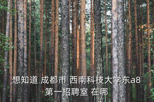想知道 成都市 西南科技大學(xué)東a8第一招聘室 在哪