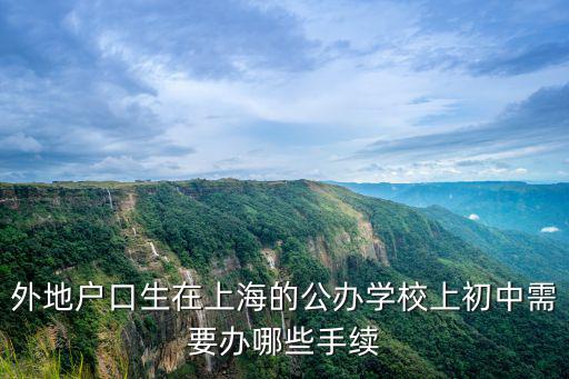 外地戶口生在上海的公辦學(xué)校上初中需要辦哪些手續(xù)