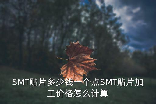 SMT貼片多少錢一個(gè)點(diǎn)SMT貼片加工價(jià)格怎么計(jì)算