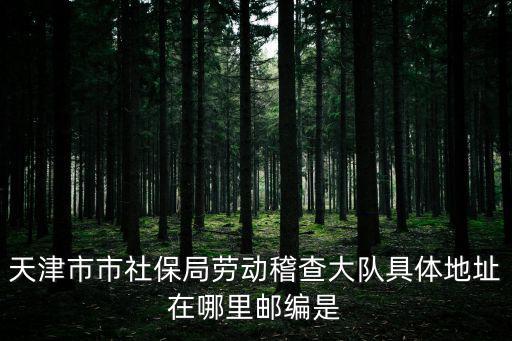 天津市市社保局勞動(dòng)稽查大隊(duì)具體地址在哪里郵編是