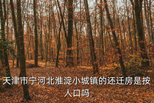 天津市寧河北淮淀小城鎮(zhèn)的還遷房是按人口嗎