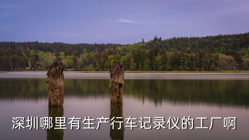 深圳中金偉業(yè)，深圳市網(wǎng)聯(lián)訊科技項(xiàng)目技術(shù)怎么樣