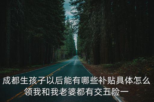 成都生孩子以后能有哪些補(bǔ)貼具體怎么領(lǐng)我和我老婆都有交五險(xiǎn)一