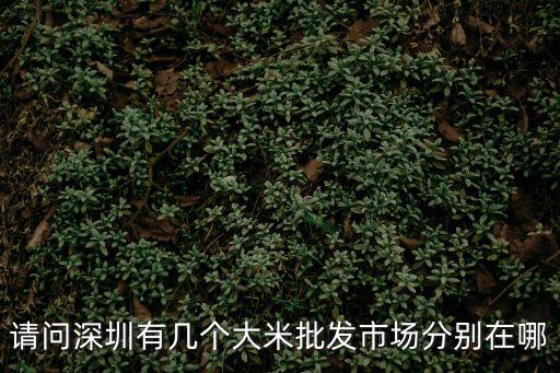 請問深圳有幾個大米批發市場分別在哪