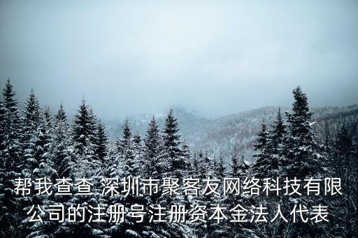 幫我查查 深圳市聚客友網絡科技有限公司的注冊號注冊資本金法人代表