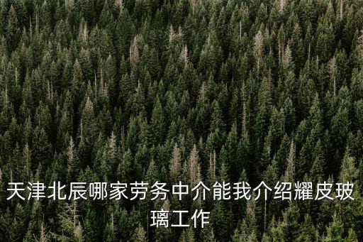 天津北辰哪家勞務(wù)中介能我介紹耀皮玻璃工作