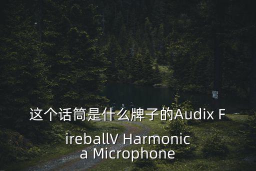 這個(gè)話筒是什么牌子的Audix FireballV Harmonica Microphone