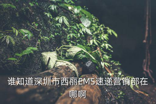 誰知道深圳市西麗EMS速遞營銷部在哪啊